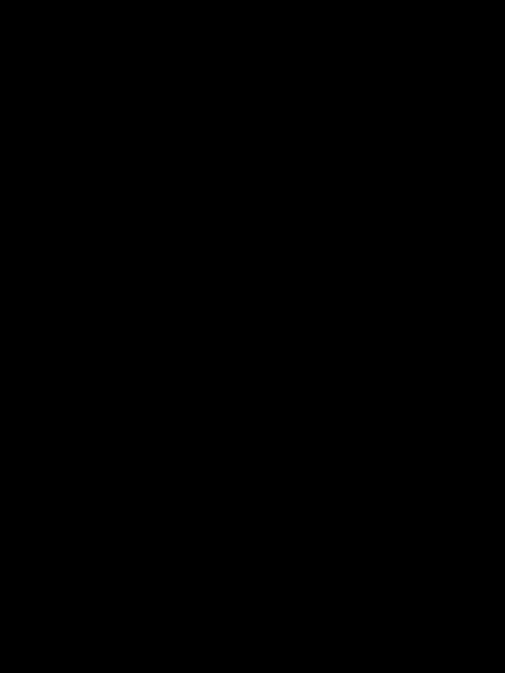 nolaandsasha OnlyFans profile picture