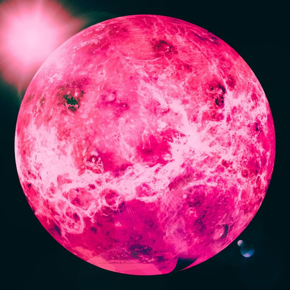 rebellvenus OnlyFans profile picture