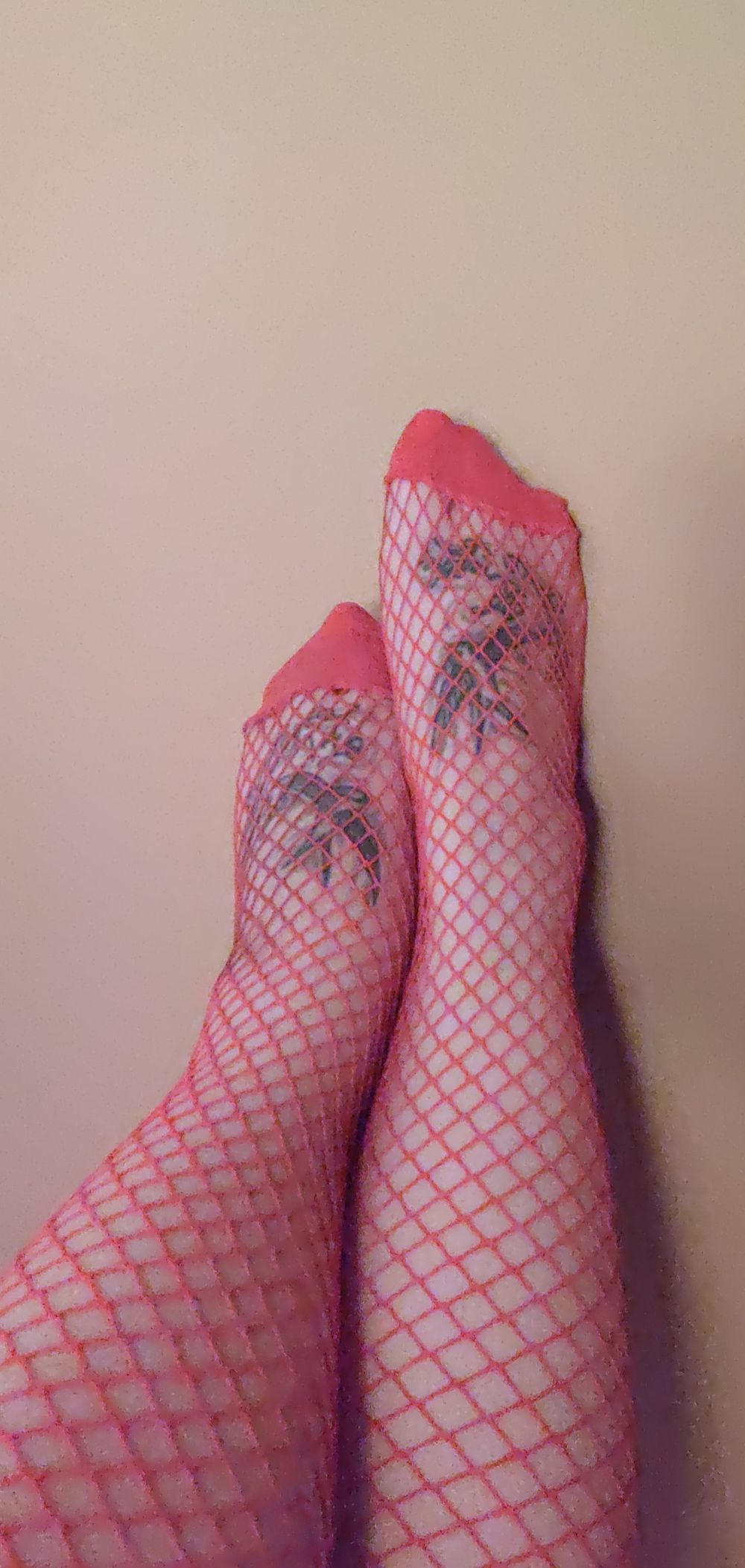 isabellaamya OnlyFans profile picture