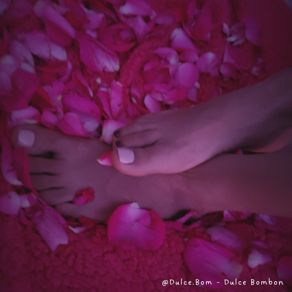 dulce.bom OnlyFans profile picture