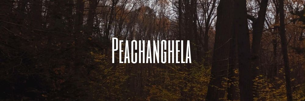 peachanghela OnlyFans profile picture