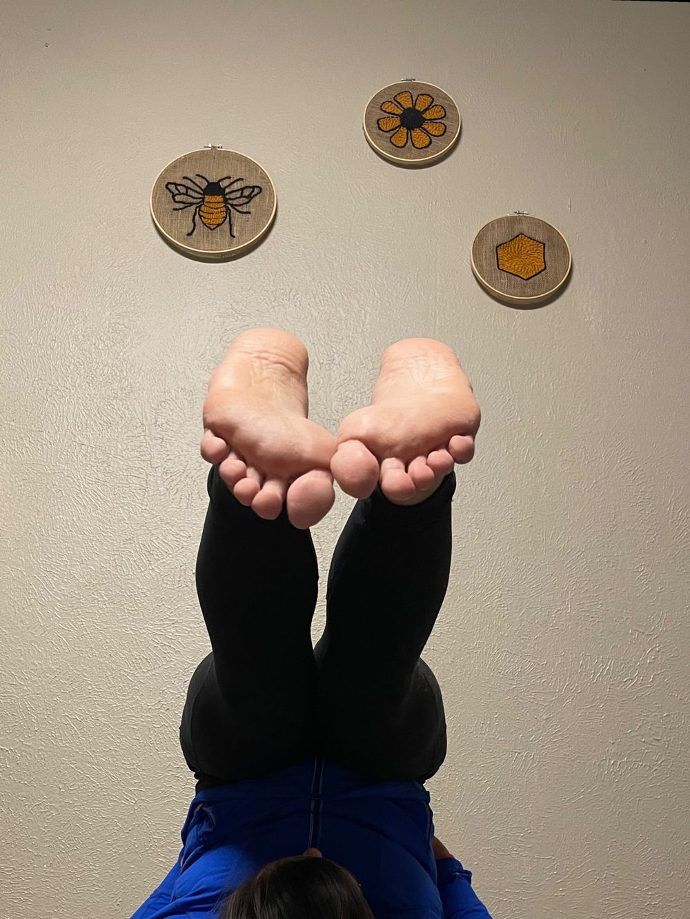 cheesyhoney OnlyFans profile picture