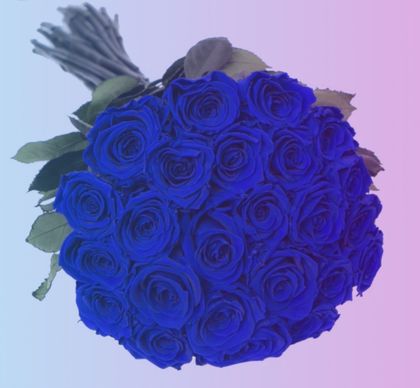 bluroses23 OnlyFans picture