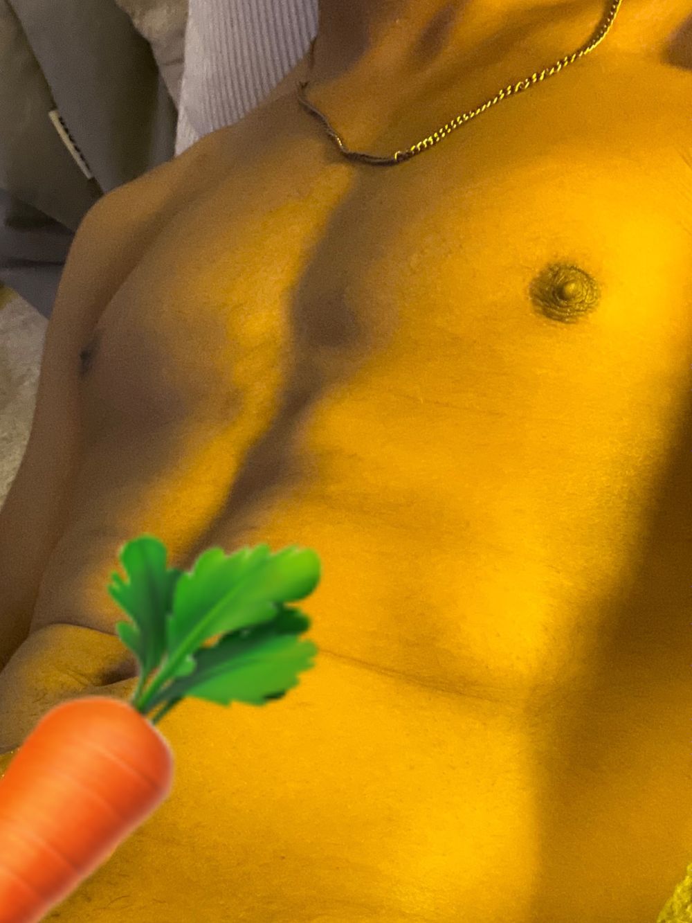 omnilon OnlyFans profile picture