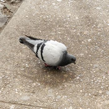 burghenby OnlyFans profile picture