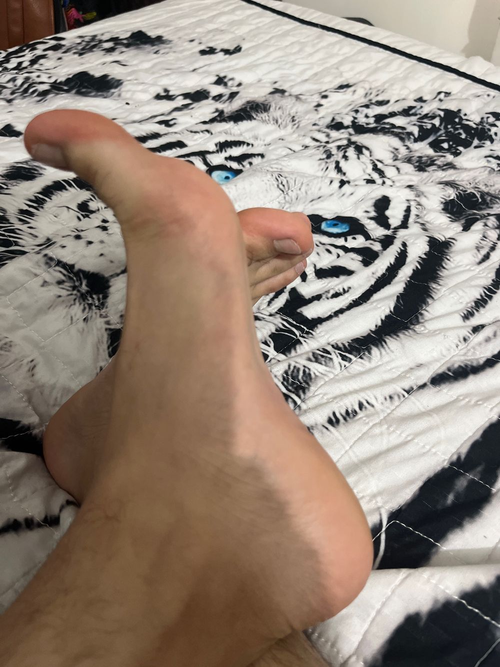 gulloso31 OnlyFans profile picture