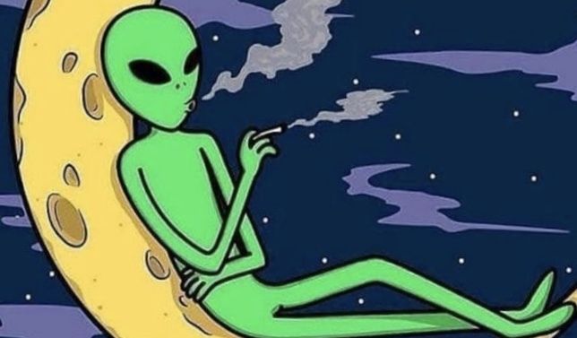 dekoii OnlyFans profile picture