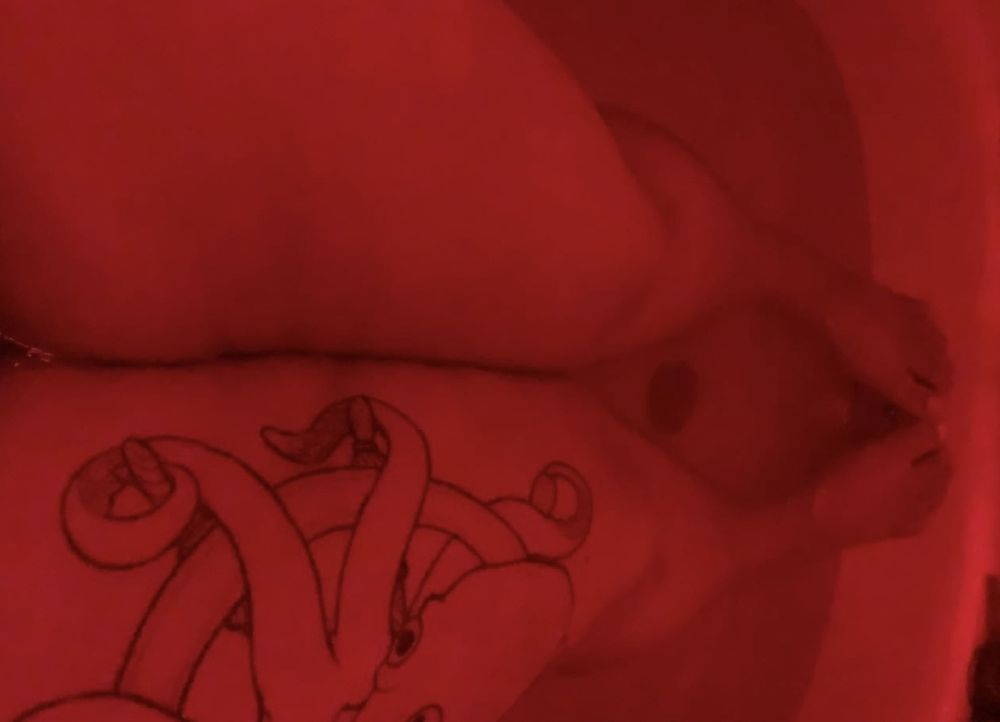 viwolfe OnlyFans profile picture