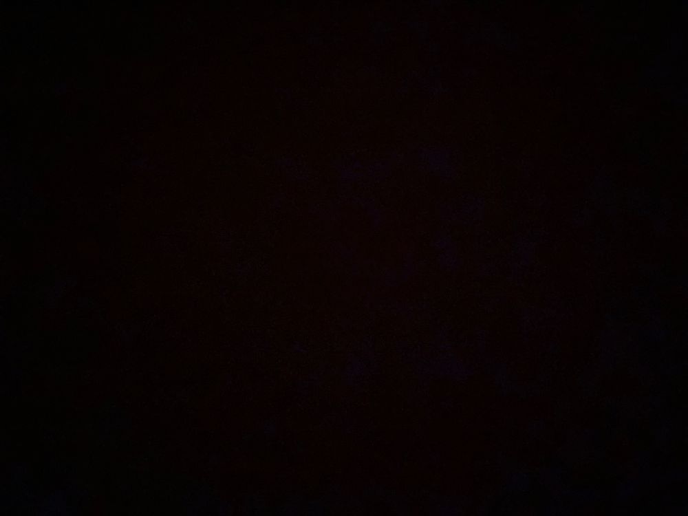niahalia OnlyFans profile picture