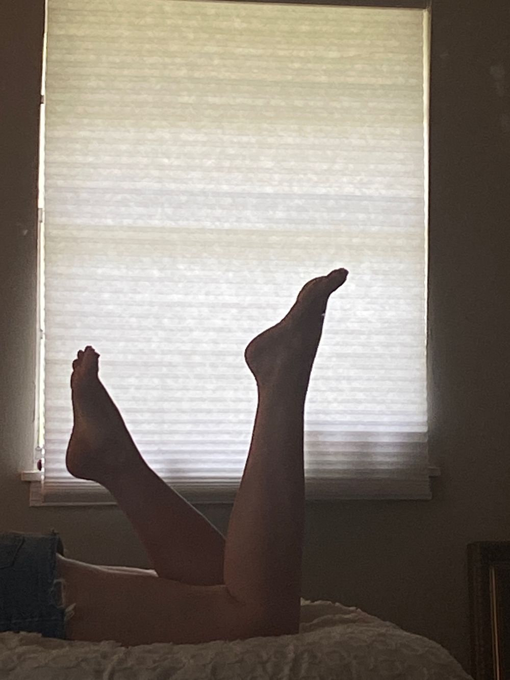 katsdogs OnlyFans profile picture