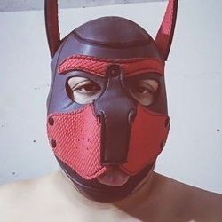 parrudomx OnlyFans picture