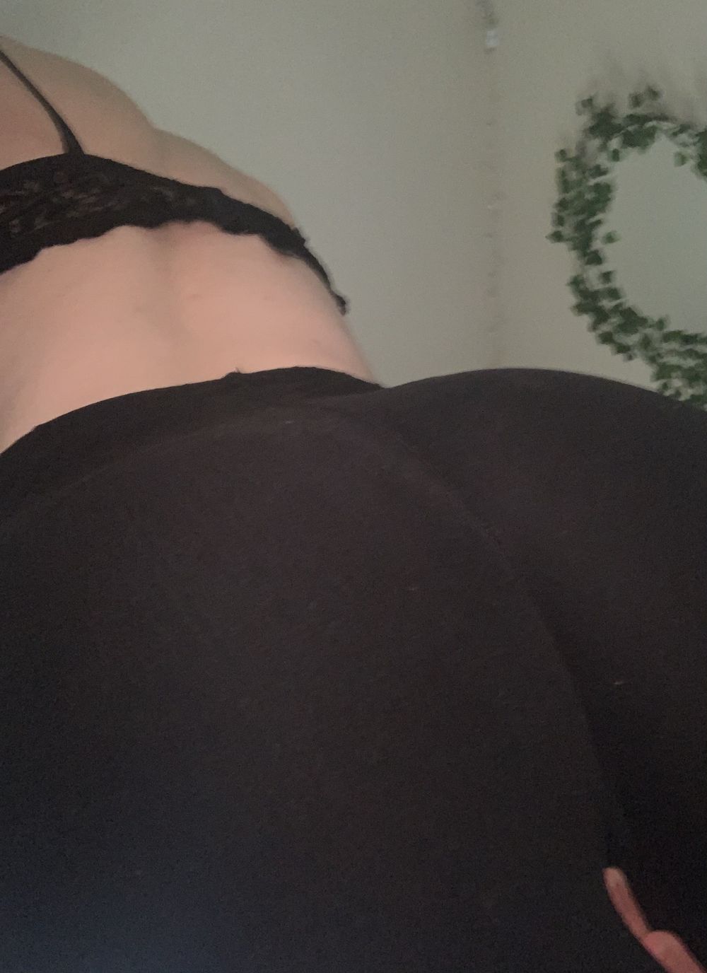 sophicoms OnlyFans profile picture