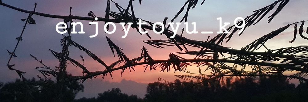 enjoytooyu_k9 OnlyFans profile picture