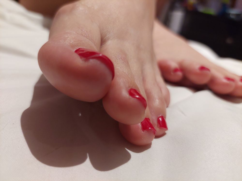 verogonzalez OnlyFans profile picture