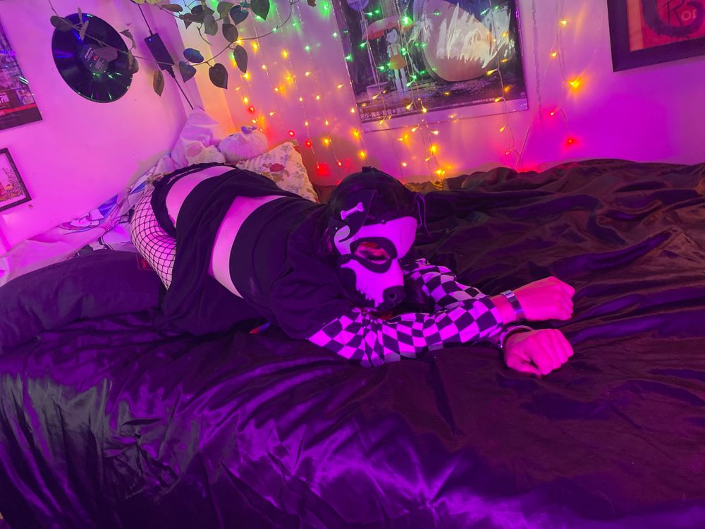 muttgirl OnlyFans profile picture