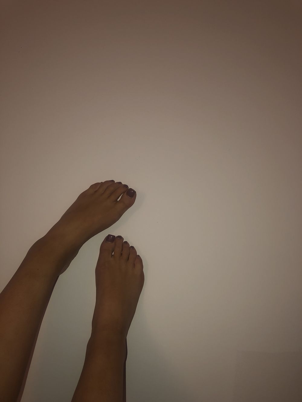 seductivesophia OnlyFans profile picture