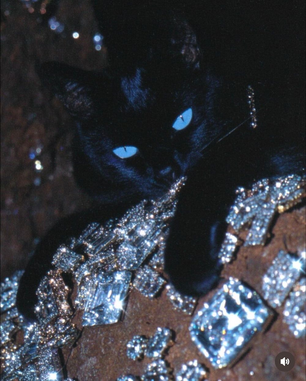 greeencatuttt OnlyFans profile picture