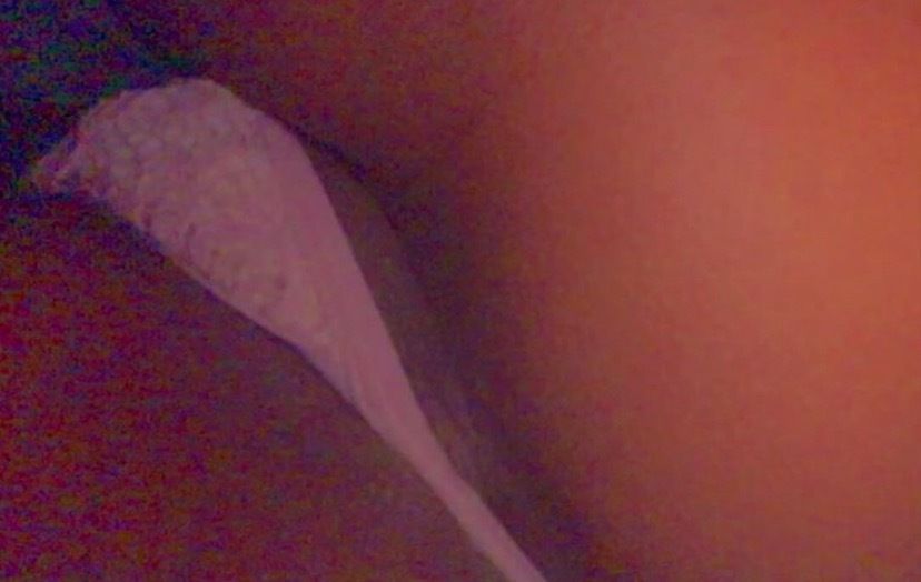 seductionqueenn OnlyFans profile picture