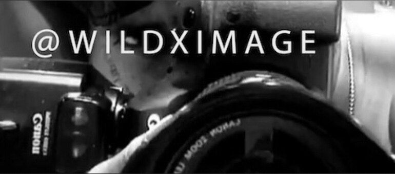 wildximage OnlyFans profile picture