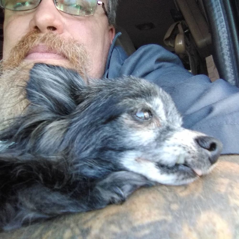 miadog OnlyFans profile picture