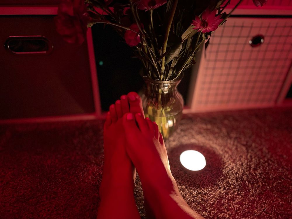 xxxsunxxxflower OnlyFans profile picture
