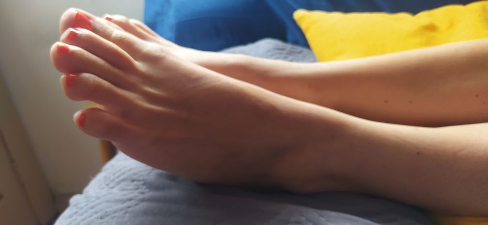 dianavogelmeupe OnlyFans profile picture