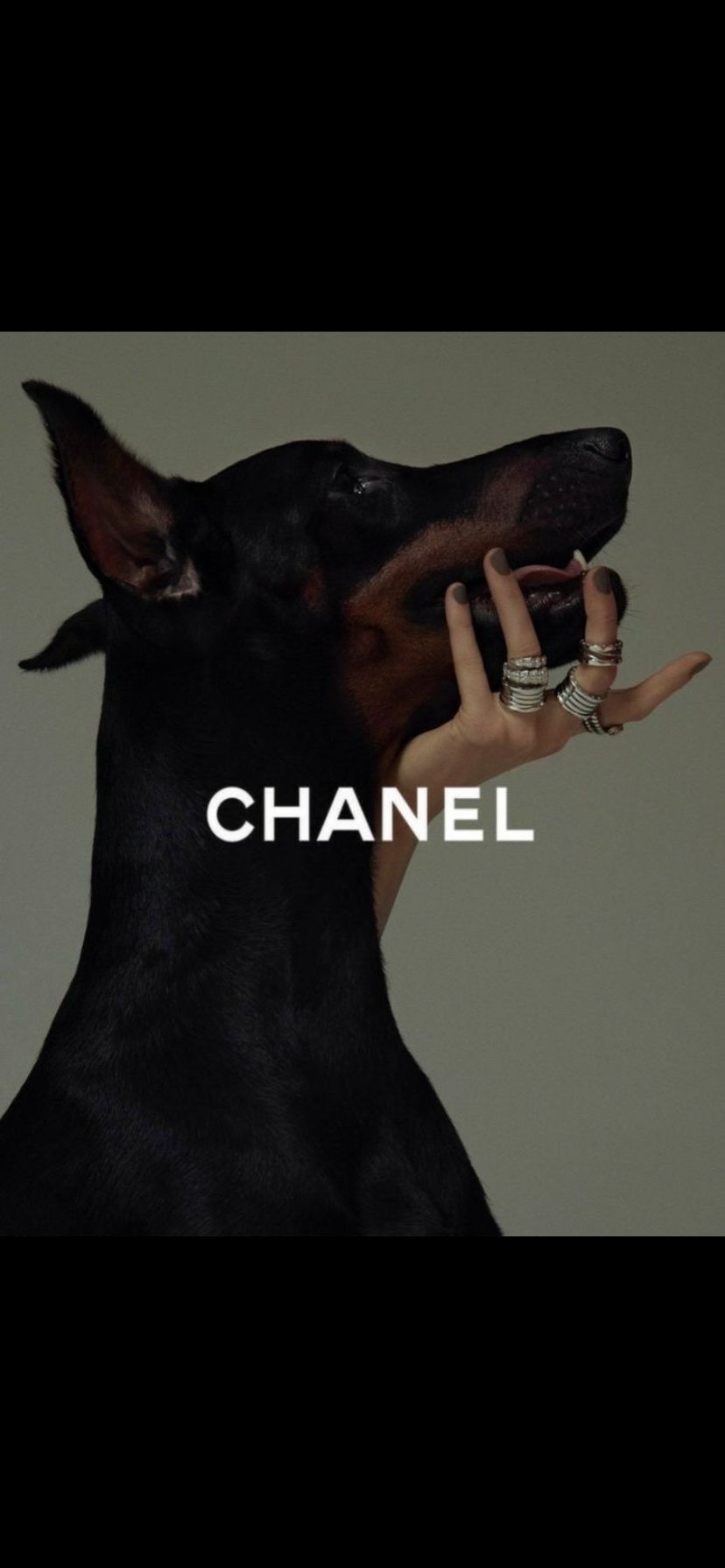 chanelpeach OnlyFans profile picture