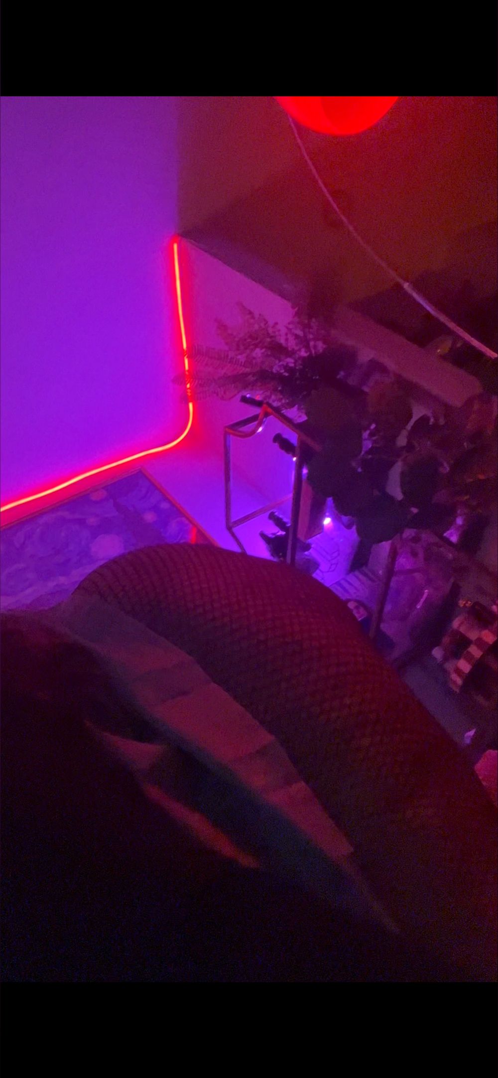 thruthickandthick OnlyFans profile picture