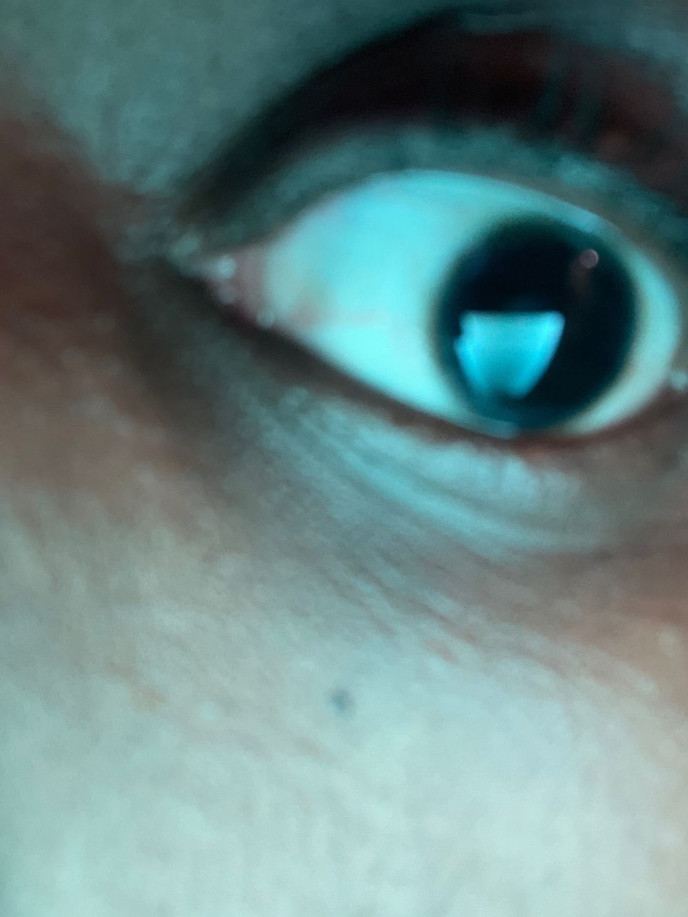 skindaddymack OnlyFans profile picture