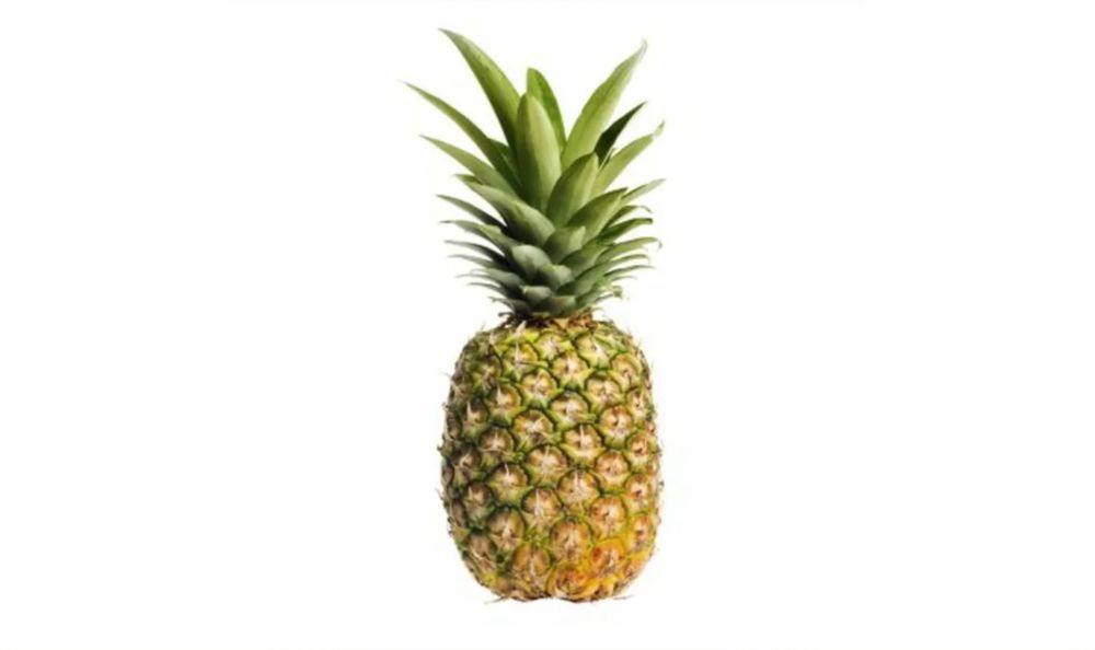 tx2020 OnlyFans profile picture