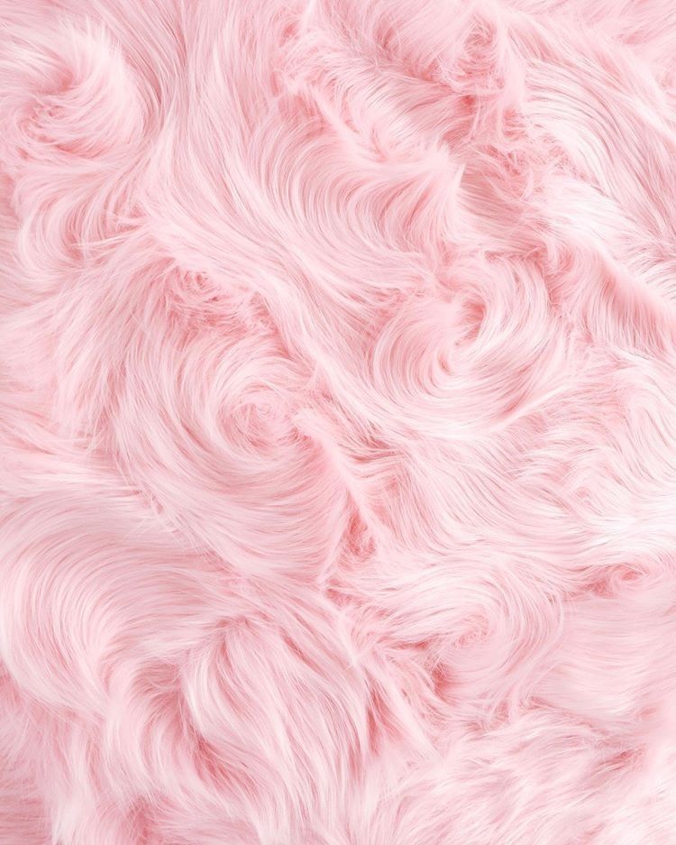 peachmilkbun OnlyFans profile picture