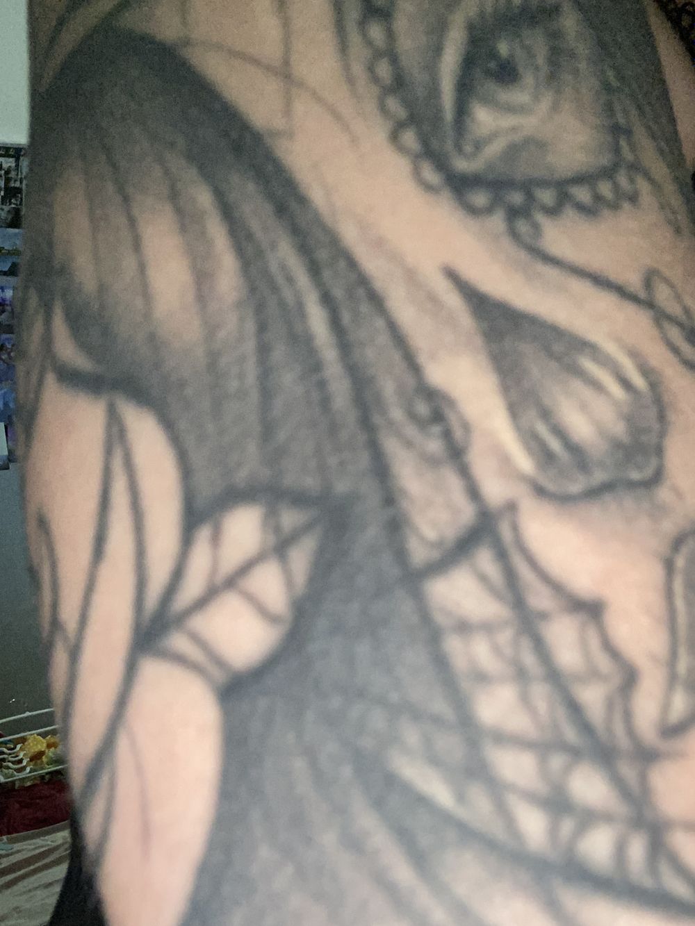 kmhx199554 OnlyFans profile picture