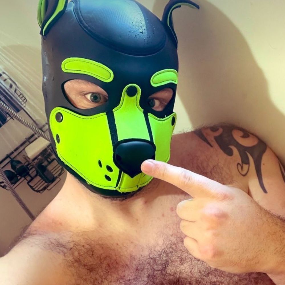 pnwdomdaddy OnlyFans profile picture