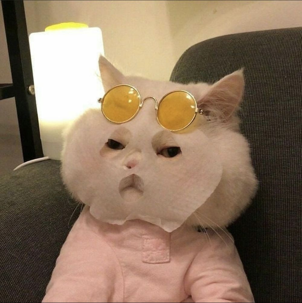 vaginaunfriendly OnlyFans profile picture