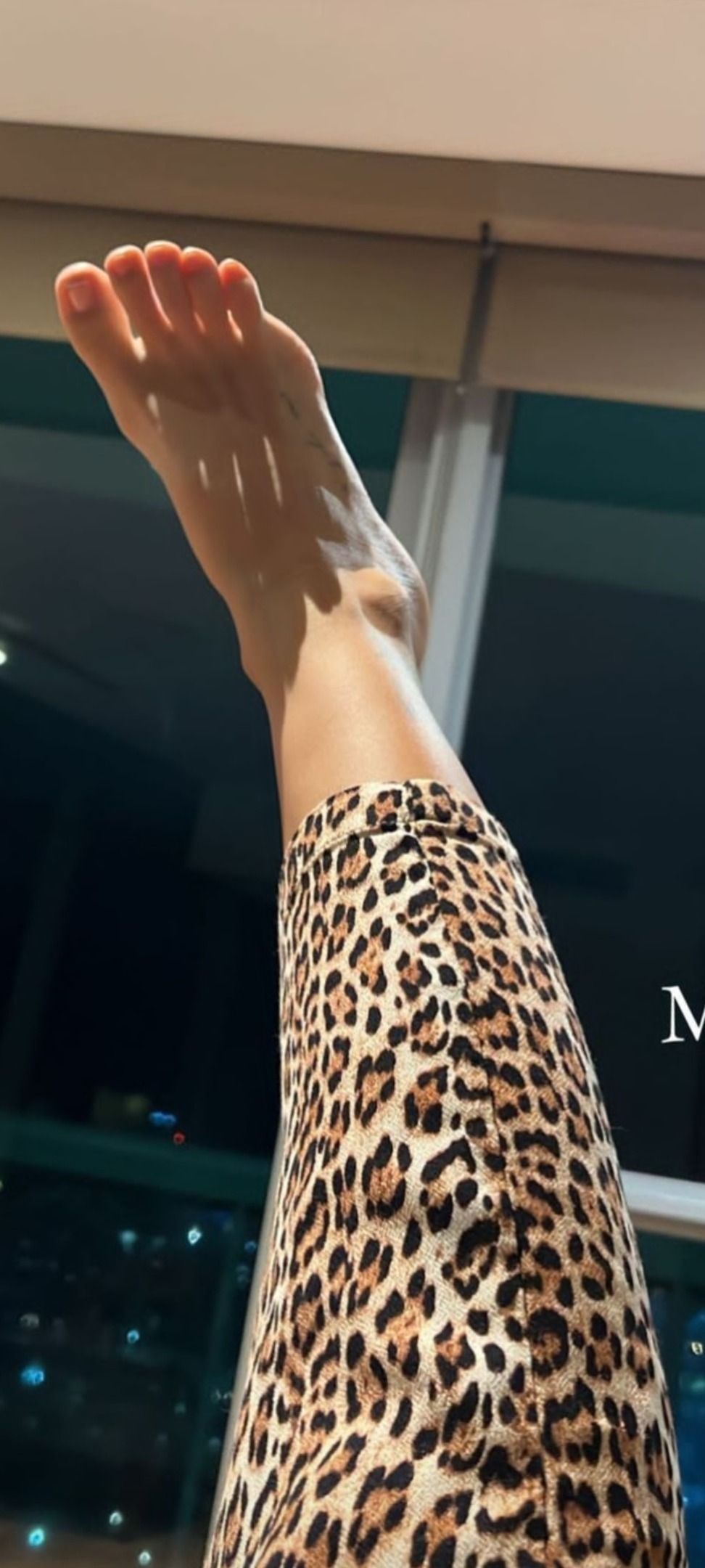 piedifree OnlyFans profile picture