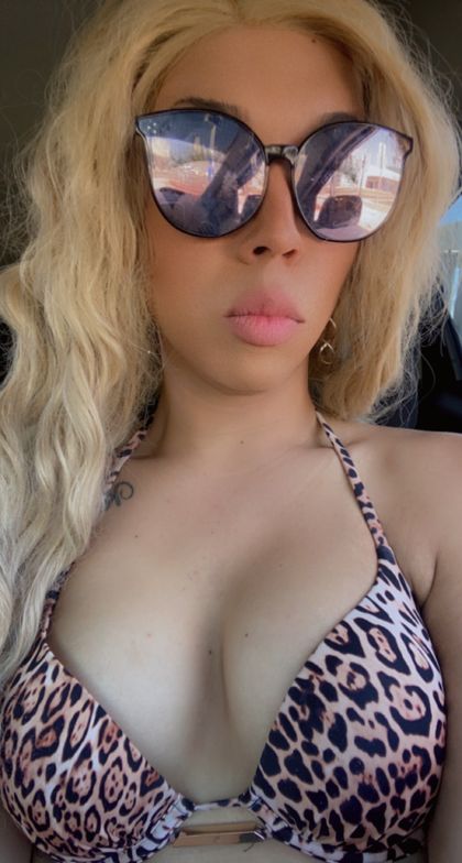 purehoneykoko OnlyFans picture