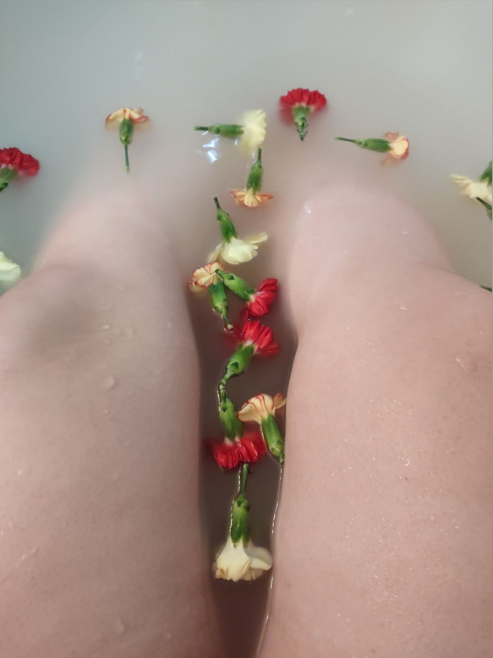 ladylunea OnlyFans profile picture