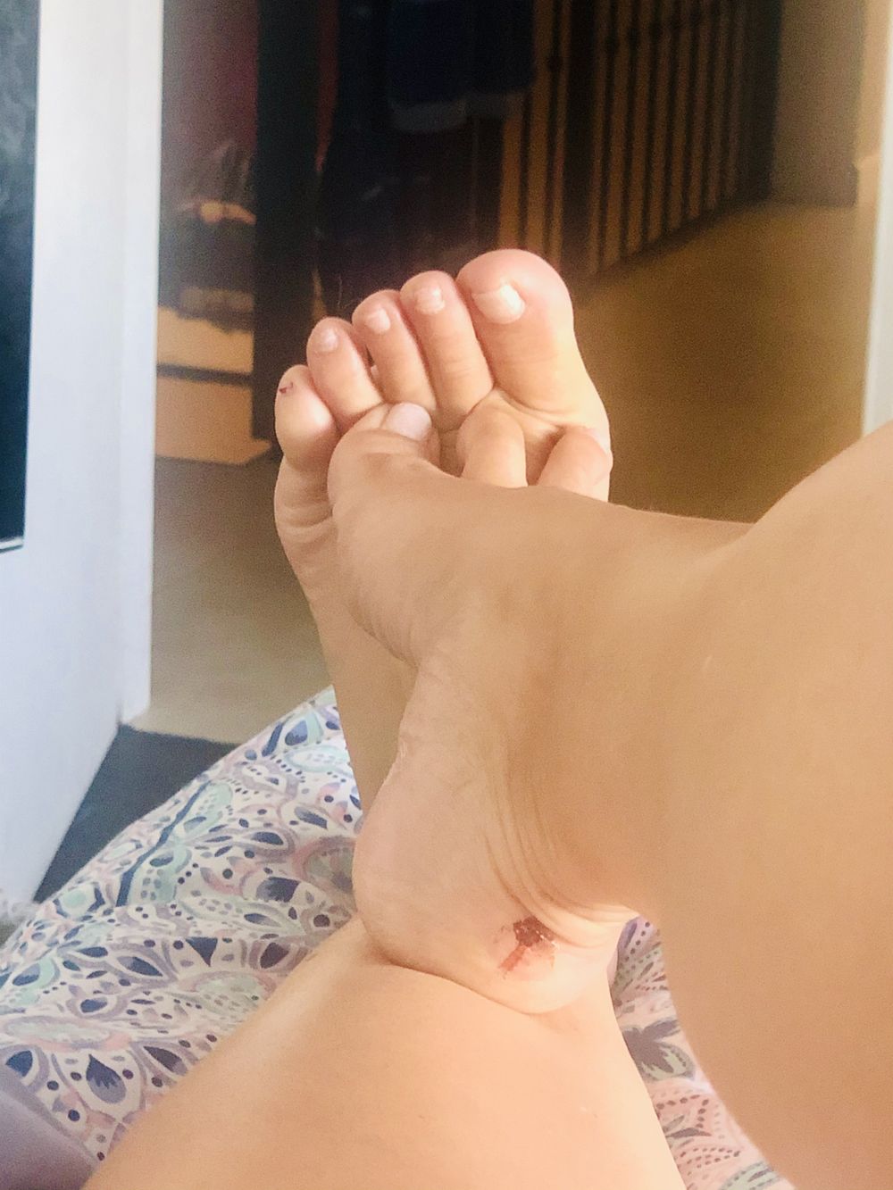 feetok OnlyFans profile picture