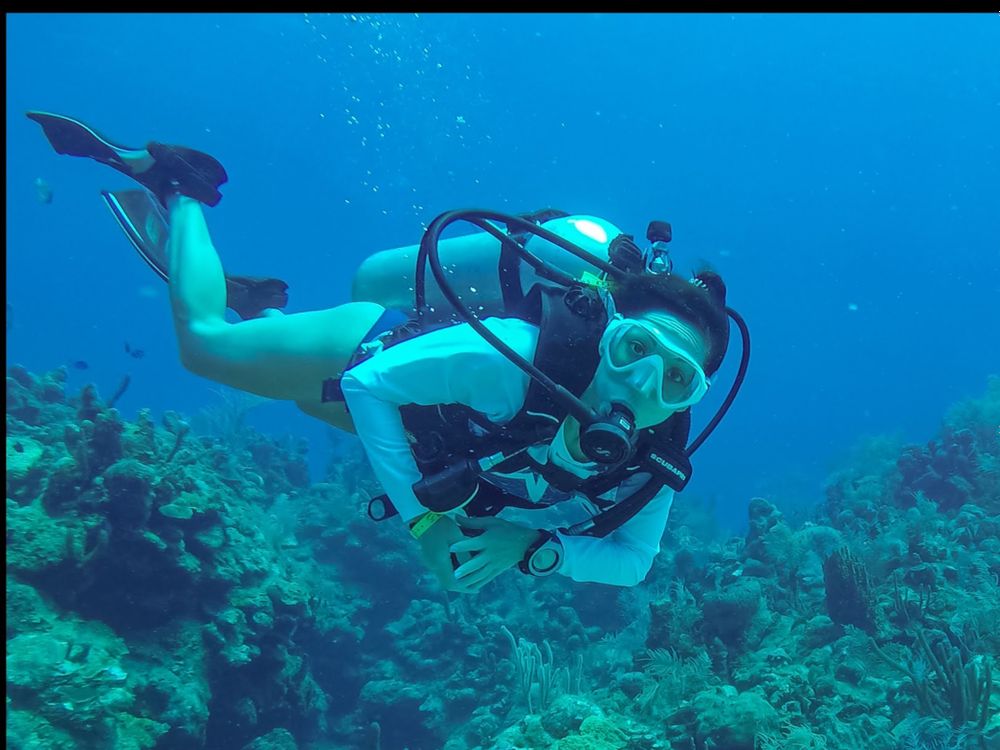 txdivechick OnlyFans profile picture