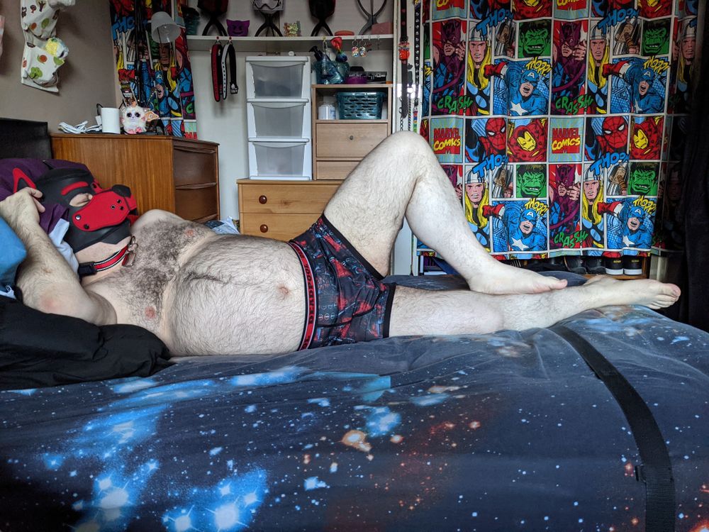 quintpup OnlyFans profile picture
