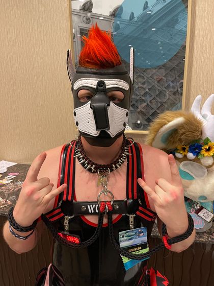pupdaxjs OnlyFans picture