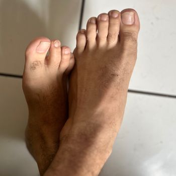 FeralSteps