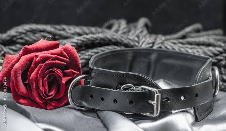 u274565941 OnlyFans profile picture