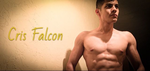 crisfalcon OnlyFans profile picture