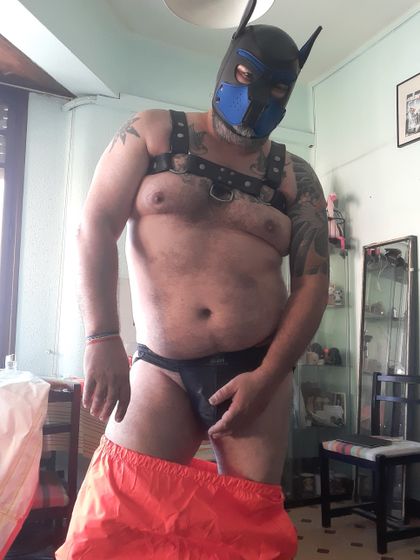 olaffthepup OnlyFans picture