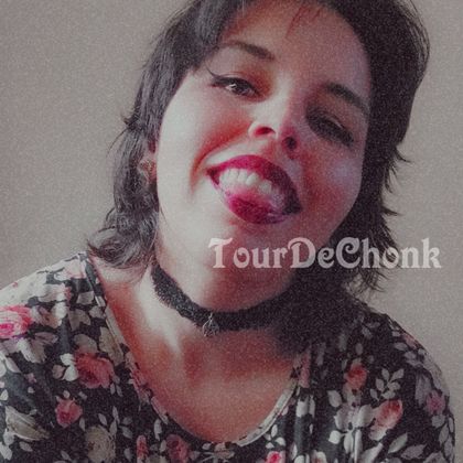 tourdechonk OnlyFans picture
