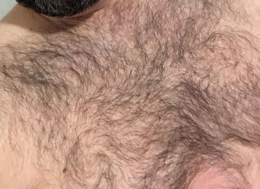 bearsp OnlyFans profile picture