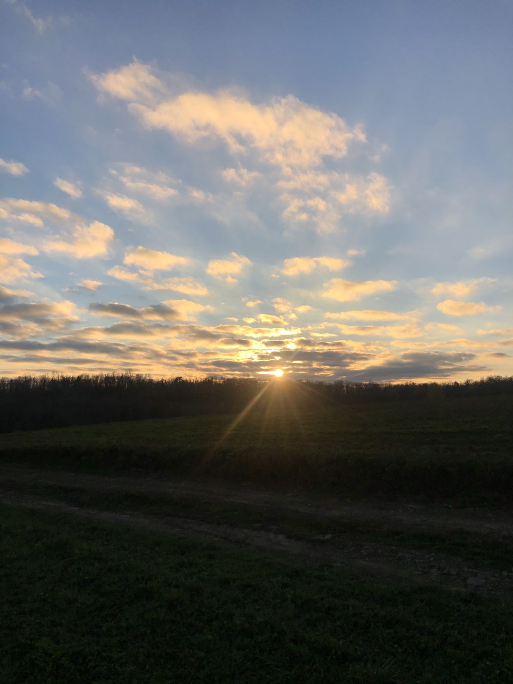 edwilde2020 OnlyFans profile picture