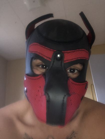 transboi555 OnlyFans picture