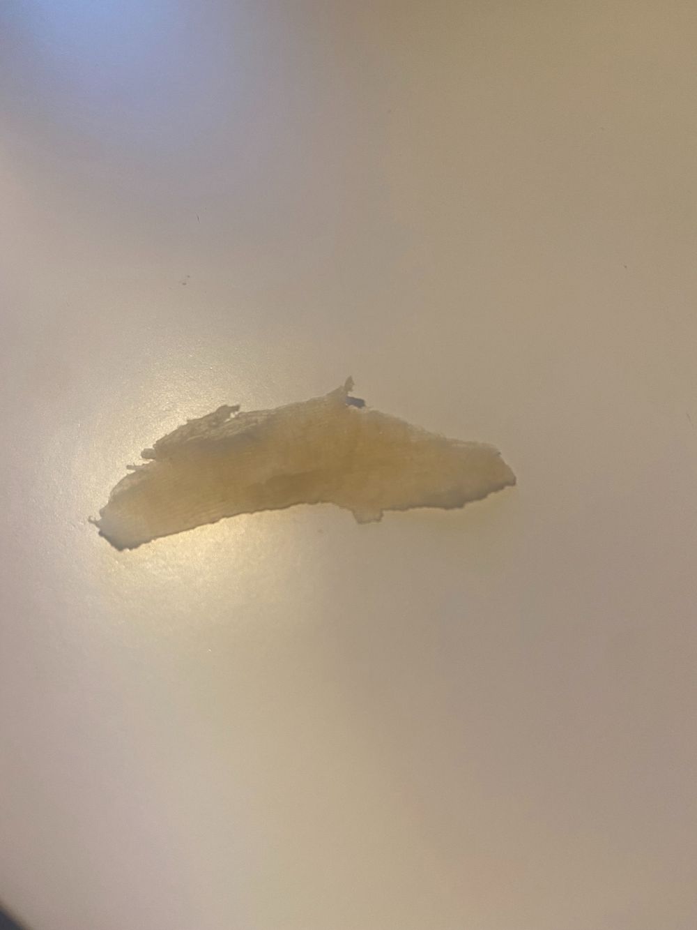 peelyheels OnlyFans profile picture